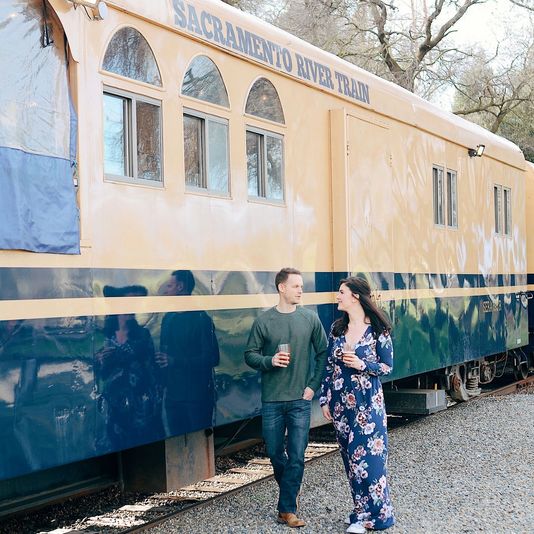 River Fox Train Ride through Yolo County - Image 4