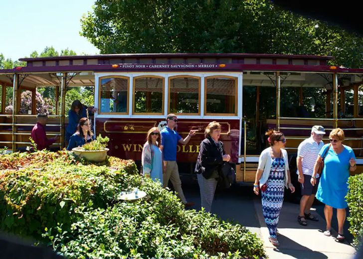 Classic Napa Valley Wine Trolley Tour with Lunch - Image 6