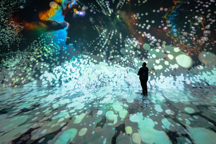 Admission to ARTECHOUSE Houston - Image 6