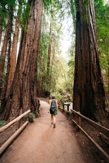 Full Day Muir Woods Tour with Napa & Sonoma Valley Wine Tastings - Image 11