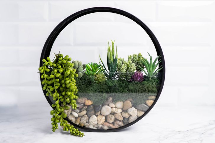 Wall Terrarium DIY Kit - Image 3