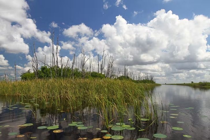 Private Everglades Airboat Tour & Animal Sanctuary Admission - Image 5
