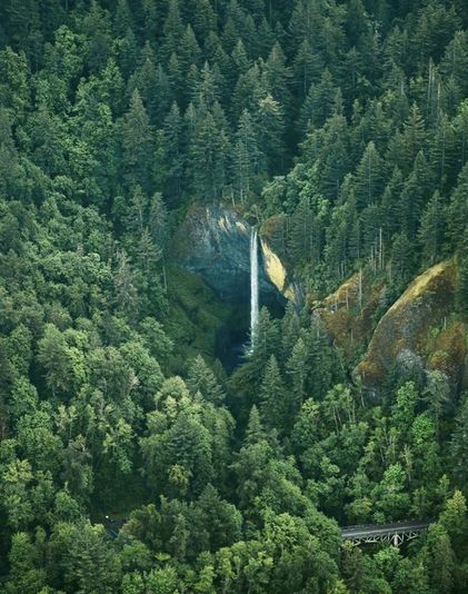Experience Multnomah via Plane - Image 4