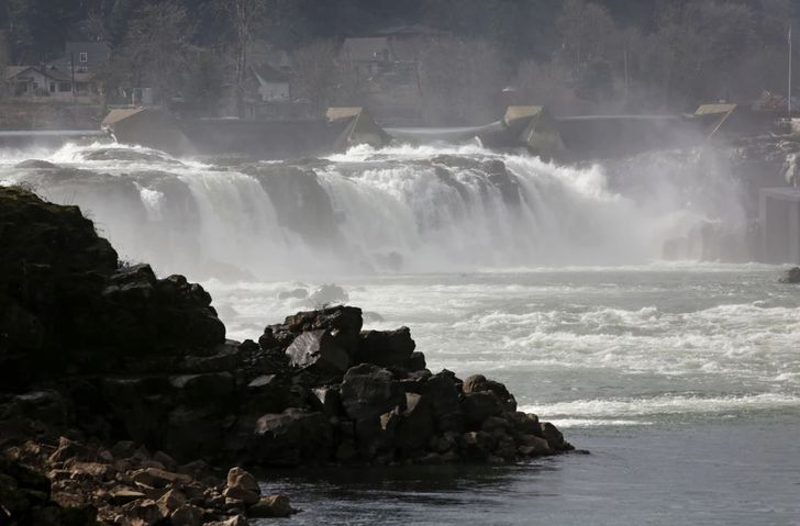 Private BYOB Willamette Falls River Cruise - Image 5