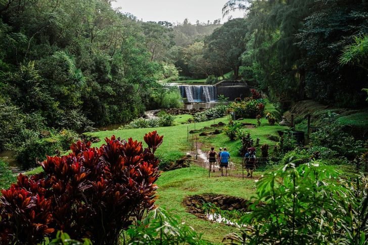 Regenerative Farm and Food Experience