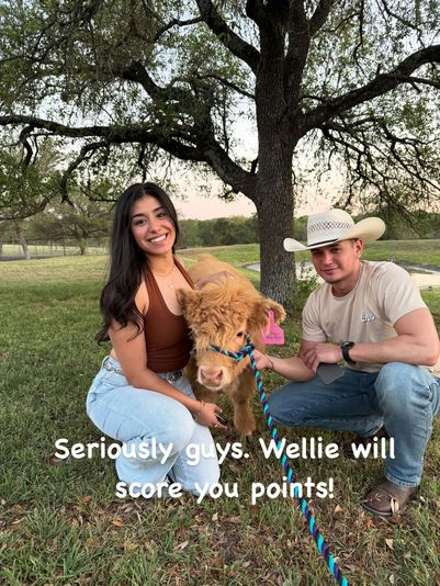 Family Cow Cuddling Experience in Austin - Image 5