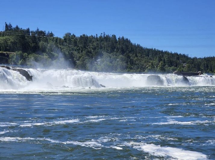 Private BYOB Willamette Falls River Cruise - Image 4