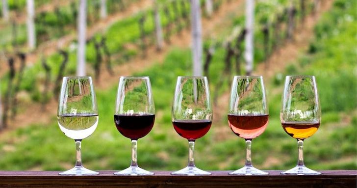 Half-Day Hill Country Wine Shuttle with BYOB - Image 3