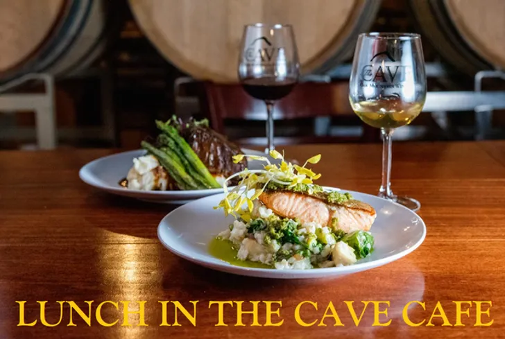 Temecula Winery and Brewery Combo Tour for 4