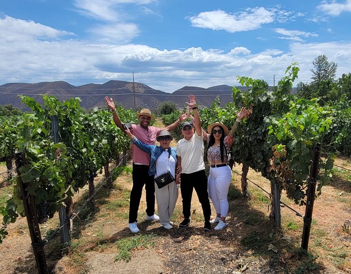 Delightful Sunday Temecula Wine Tour - Image 1