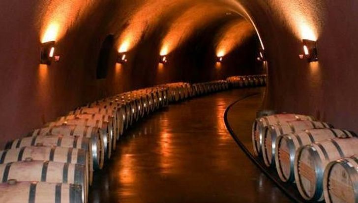 Temecula Wine Country's Night Out Tour - Image 2