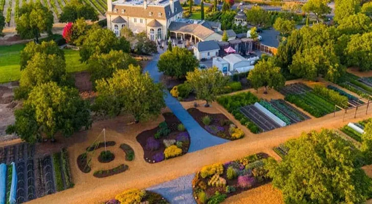 Kendall-Jackson 5-Course Winery Lunch and Giant Redwoods Day Trip