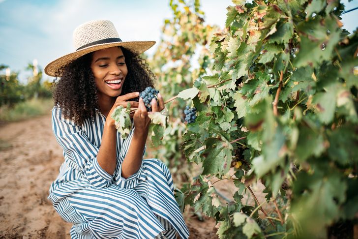 Redwoods & California Wine Country Tour