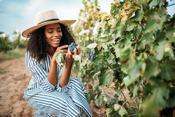Redwoods and California Wine Country Tour