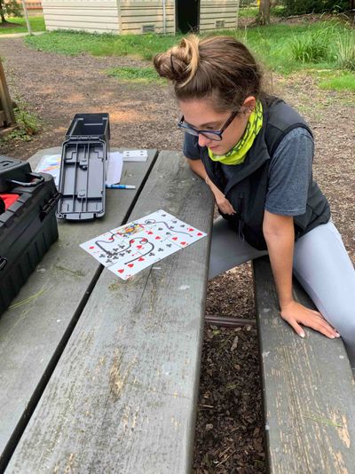 Chicago Forest Escape Game with Go Ape