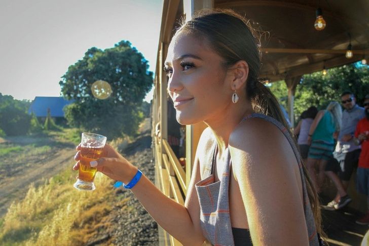 River Fox Train Ride with Drinks through Yolo County - Image 3