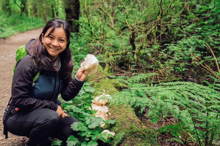 Seattle Mushroom Foraging 101