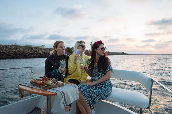 Private Luxury Cruise with Wine, Charcuterie & Sea Lions Spotting