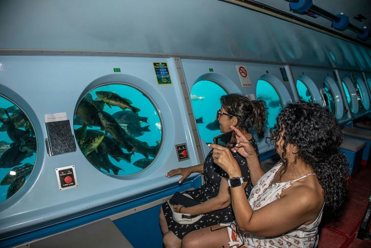 Yellow Submarine Tour of Catalina Island - Image 2