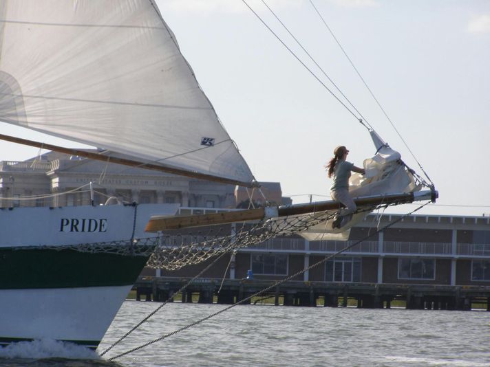 Daytime Dolphin Sail in Charleston - Image 5