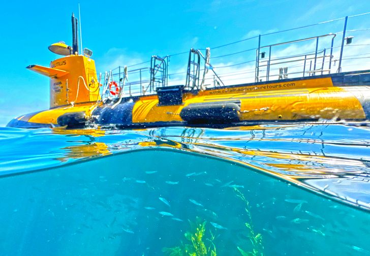 Yellow Submarine Tour of Catalina Island - Image 3