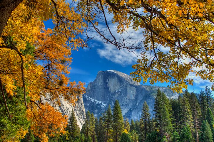 Yosemite & Giant Sequoias Tour - Image 3