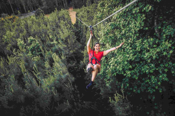 Raleigh-Durham Zipline & Treetop Adventure with Go Ape - Image 4