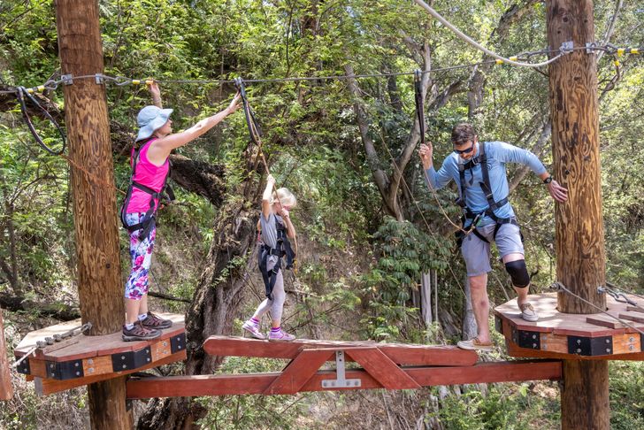 Aerial Challenge Adventure Course - Image 5