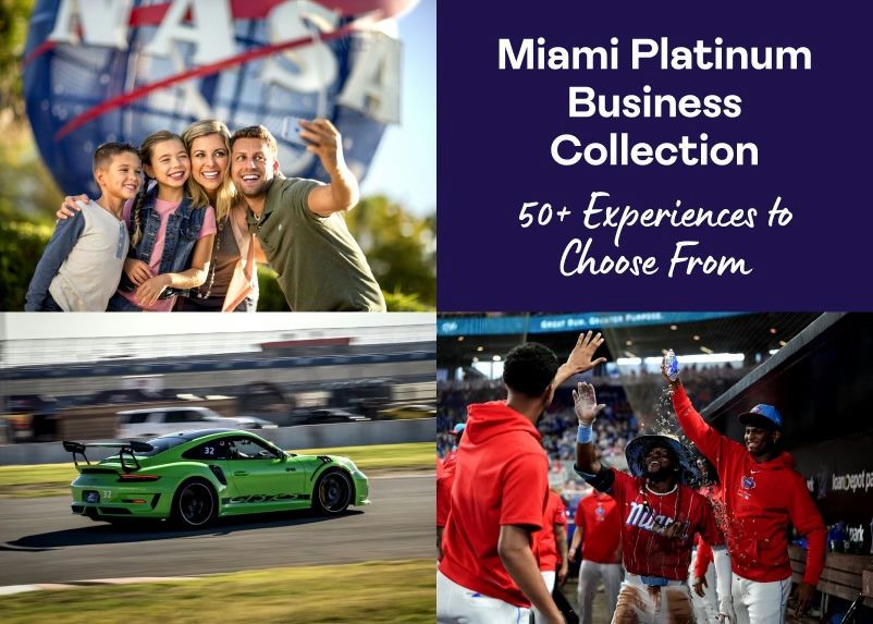 Miami Platinum Business Collection