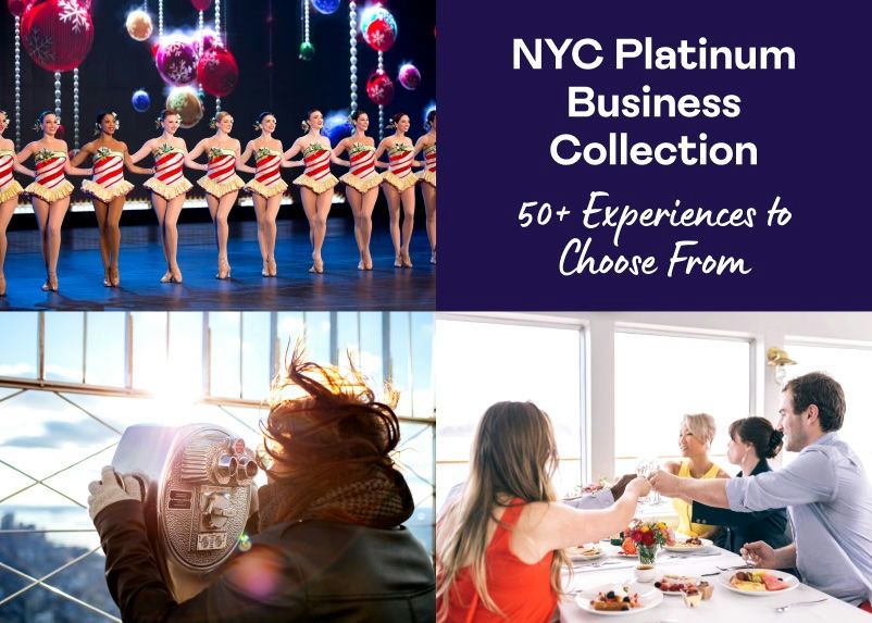 New York City Platinum Business Collection