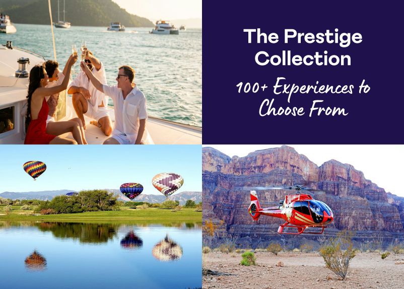 The Prestige Business Collection
