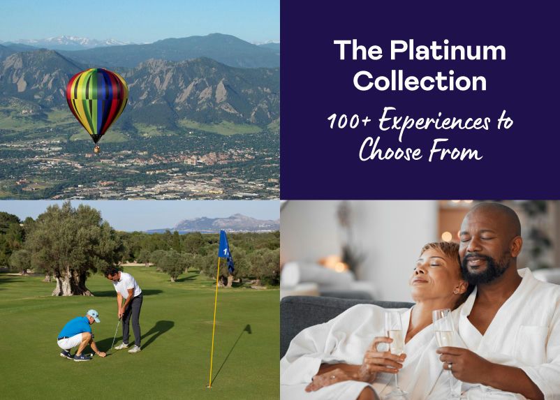 The Platinum Business Collection