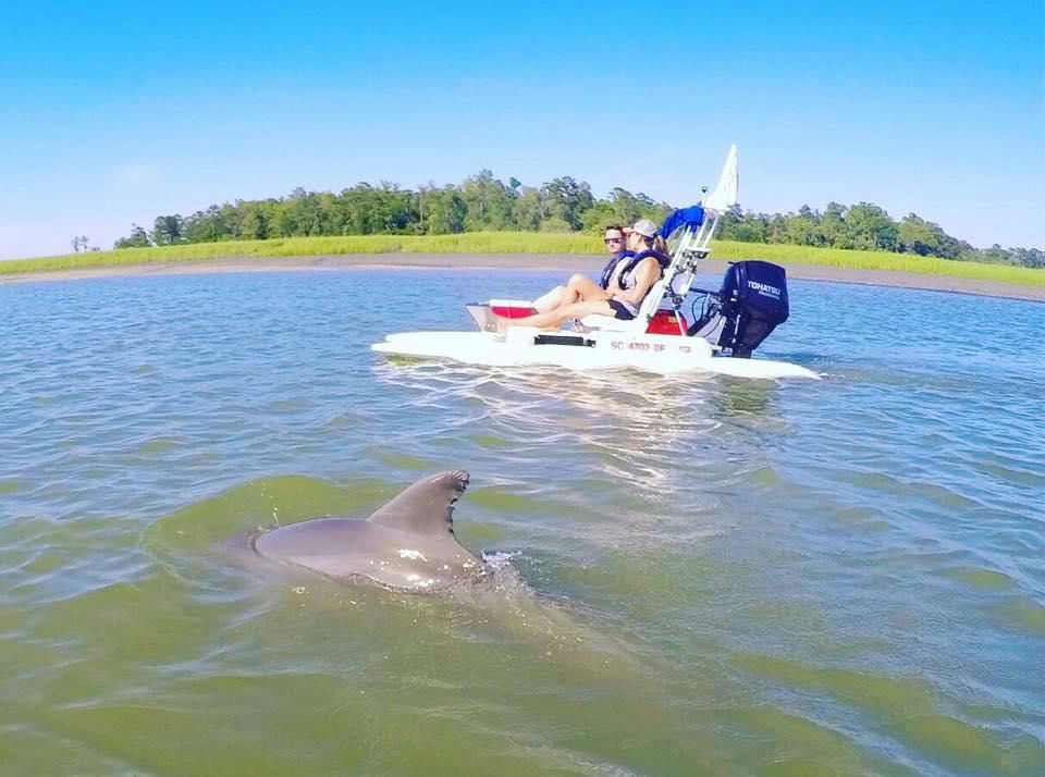 Discover Hilton Head on a Creek Cat Tour